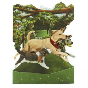 Картичка Dogs In The Park, Swing Card