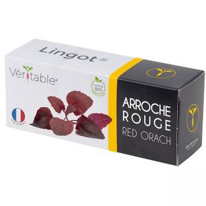 VERITABLE Lingot® Red Orach - Червен френски спанак