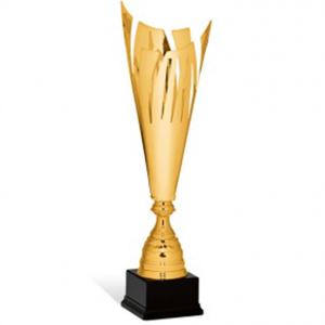 Купа за постижения (средна)