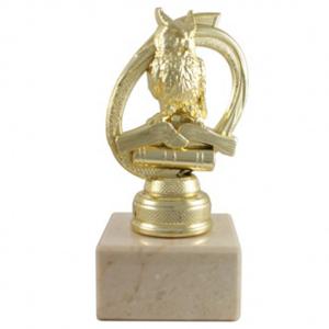 Индивидуална награда Силата на знанието