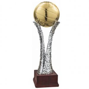 Трофей Волейбол
