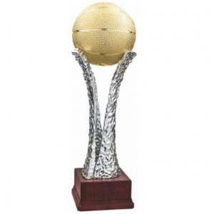 Приз за баскетбол