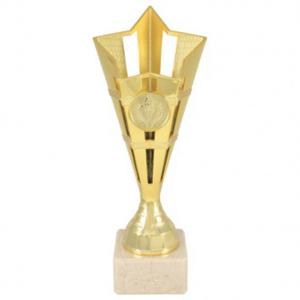 Универсален приз Звезда