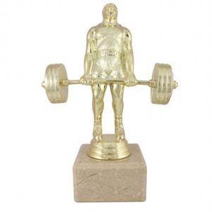 Отличие силов трибой