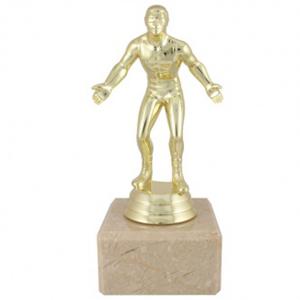 Отличие борба