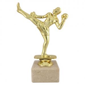 Отличие Муай тай