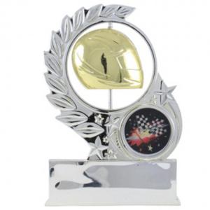 Приз за авто-мото спорт