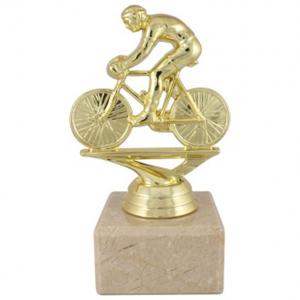 Отличие колоездене