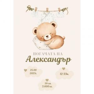 Плакат за Погача