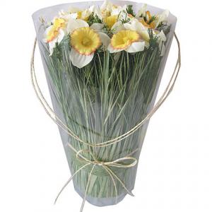 Аранжировка нарциси