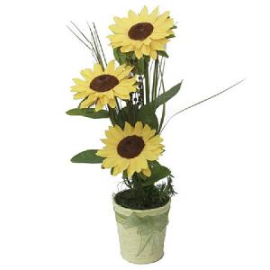 Аранжировка слънчогледи