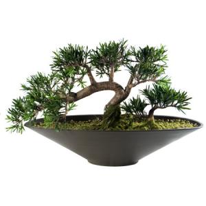 Зелен бонсай - декорация