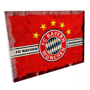 Картина върху врачански камък - 20x30 см - футболен плакет Байерн Мюнхен