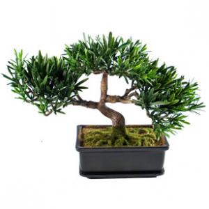 Бонсай - декорация от New Wish