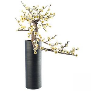 Черешов бонсай бял