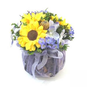 Органза слънчогледи