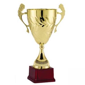 Луксозна спортна купа - височина 39 см