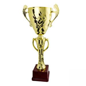 Луксозна спортна купа - височина 36 см