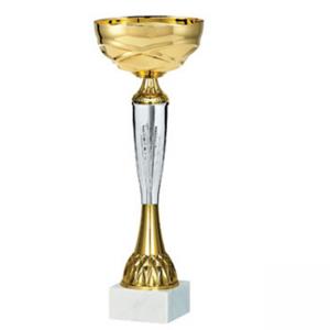 Стандартна спортна купа, златисто покритие със сребърни части - височина 25 см