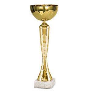 Стандартна спортна купа, златно покритие - височина 26 см