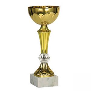 Стандартна спортна купа, златно покритие - височина 22 см