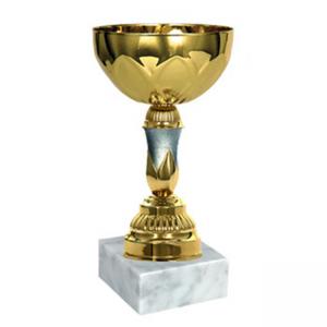 Стандартна спортна купа, златно покритие със сребърен елемент - височина 26.5 см