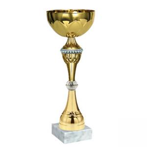 Стандартна спортна купа, златно покритие със сребърни елементи - височина 28 см