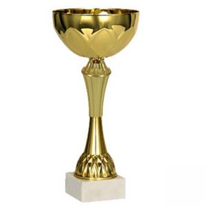 Стандартна спортна купа, златно покритие - височина 24 см