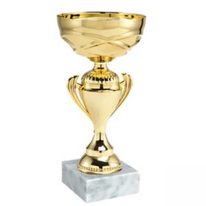 Стандартна спортна купа - височина 26 см