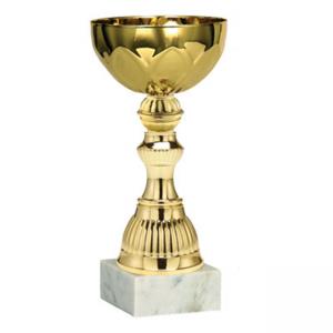 Стандартна спортна купа, златно покритие - височина 21 см