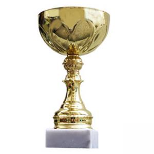 Стандартна спортна купа - височина 21.5 см