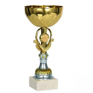 Стандартна спортна купа, златно покритие със сребърна част - височина 21 см