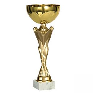 Стандартна спортна купа, златно покритие - височина 24.5 см