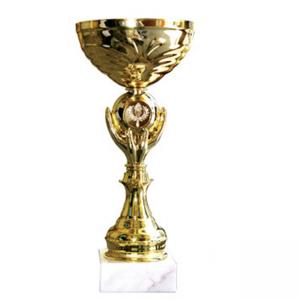 Стандартна спортна купа, златно покритие - височина 23 см