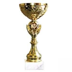 Стандартна спортна купа, златно покритие - височина 30 см