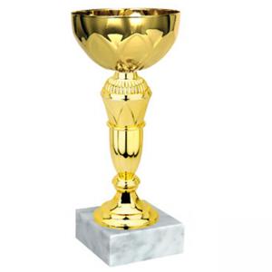Стандартна спортна купа, златно покритие със сребърен елемент - височина 20 см