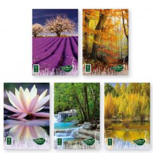 Тетрадка формат А4 FSC UV, Quad Eco, 42 листа, 5x5, 80 г/м2