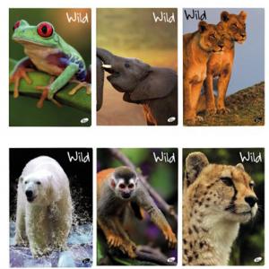 Тетрадка формат A4 UV Wild, 60+2 листа с редове