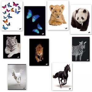 Тетрадка формат A4 твърда корица Animals, 96 листа с редове, 80 г/м2