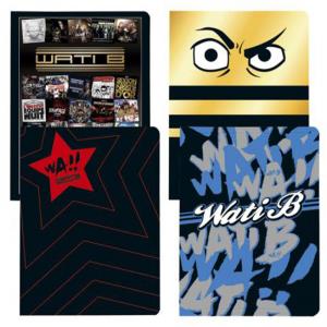 Папка 2 ринга Wati B, 22 мм, формат A4, PP