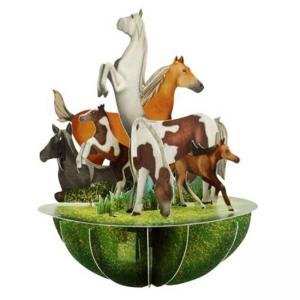 3D Картичка Horses and Ponies, Pirouette