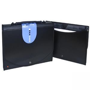 Чанта с 13 разделения, Exacase, Exactive