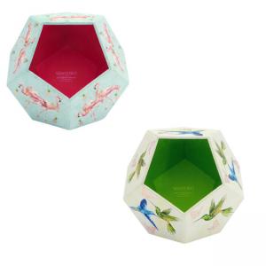 Моливник многостен Hummingbirds, размер 13х13х11 см