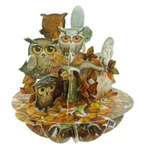 Картичка A Parliament of Owls, Pirouette