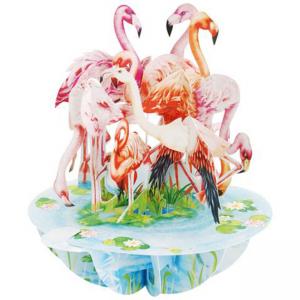 Картичка Flamingos, Pirouette