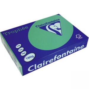 Картон копирен цветен, формат А4, 210 г/м2, Int.Forest Green Trophee, 50 листа в пакет