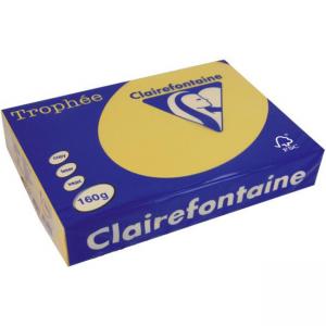 Картон копирен цветен, формат А4, 160 г/м2, Gold Trophee, 50 листа в пакет