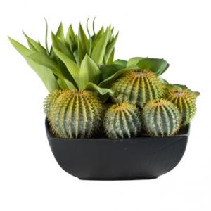 Аранжировка цветя