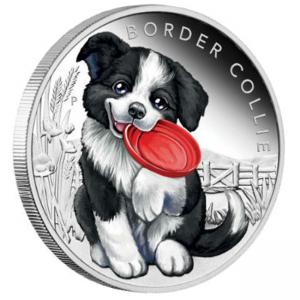 Сребърна монета Кученца – Бордър коли