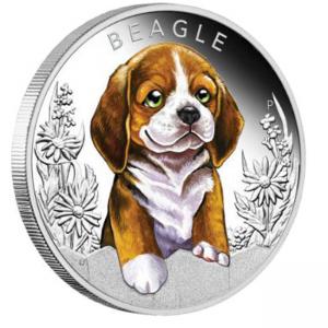 Сребърна монета Кученца – Бигъл